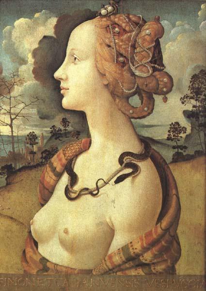 Piero di Cosimo Simonetta Vespucci (mk45) France oil painting art